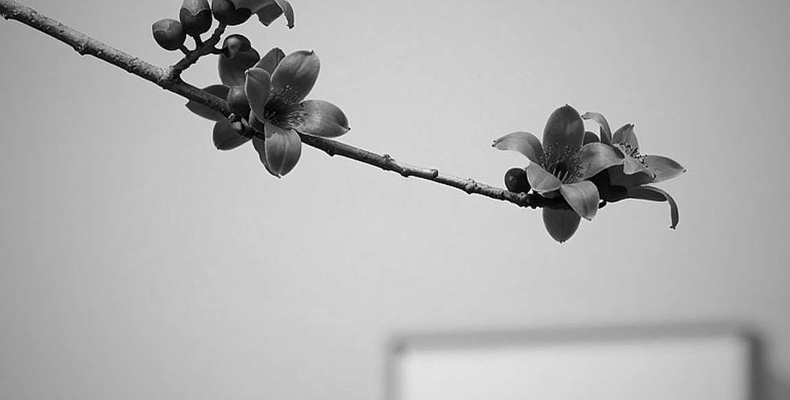 Khi bản phân tích thể thao trống rỗng: 1.907 từ không thay thế một dữ kiện