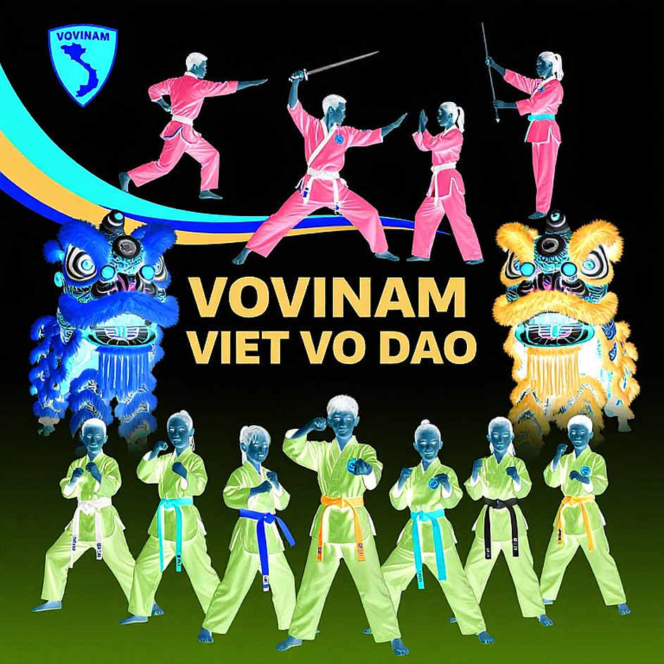 Hồ sơ chấn thương võ thuật Việt Nam và những dòng còn để trống