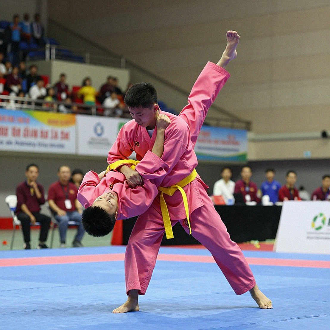 Taolu, sanda và MMA: vì sao võ thuật Việt Nam cần ba cách đọc khác nhau