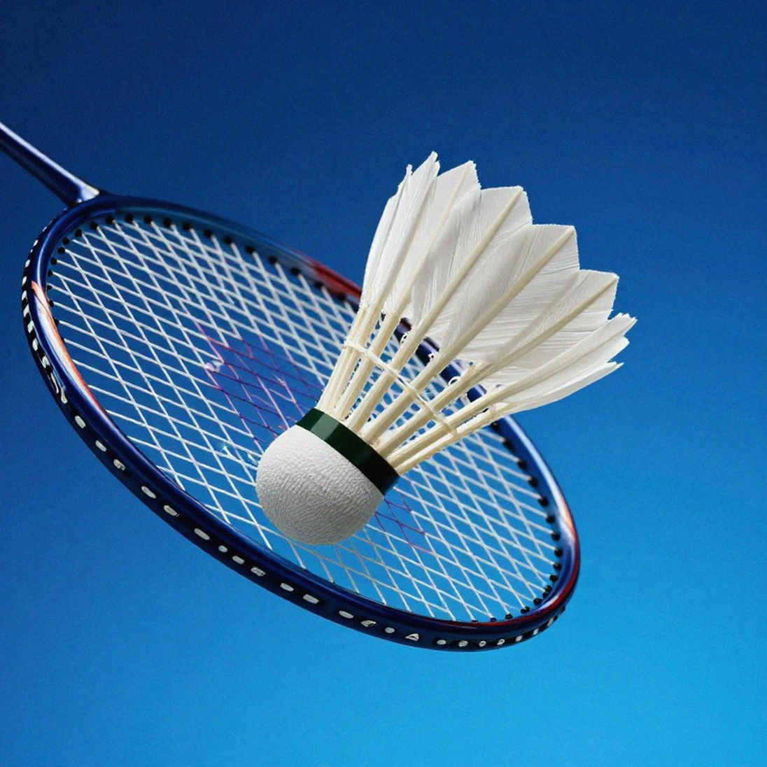 BWF World Junior Championships 2026: Ấn Độ, thể thức 3×55 và bài kiểm tra rời xa Guwahati BWF World Junior Championships 2026: Ấn Độ, thể thức 3×55 và bài kiểm tra rời xa Guwahati
