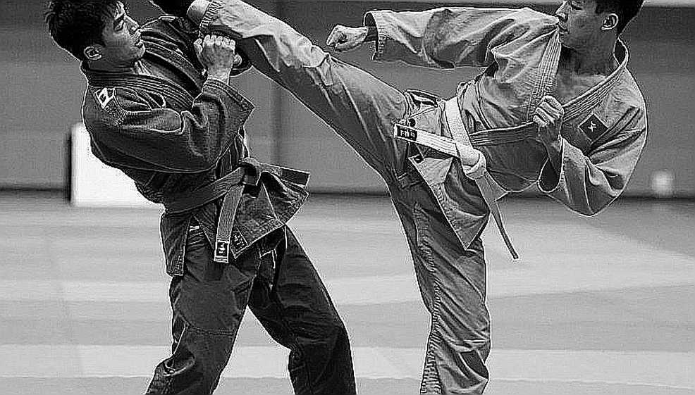 UFC 331: Mười hai giây của Steveson và năm hiệp của Van — hai cực của một hệ thống đào tạo