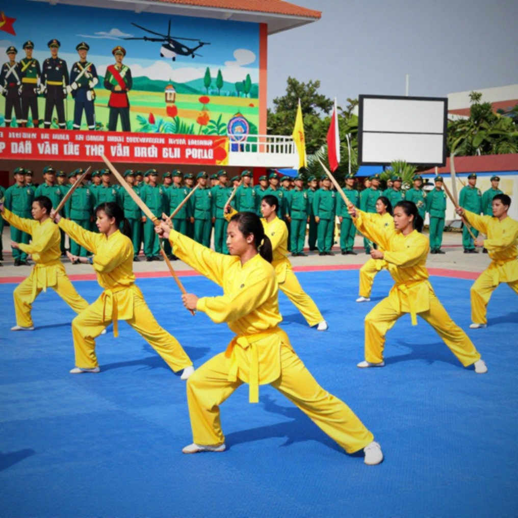Dữ liệu chấn thương võ thuật Việt Nam: khoảng trống không ai muốn điền