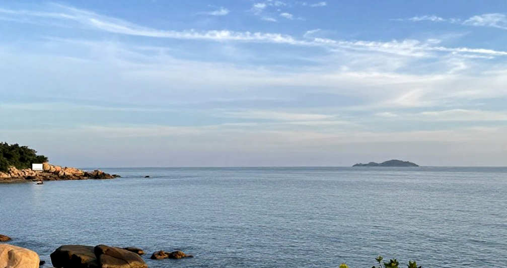 Mức lương 40 đô-la một giờ ở Tribeca và tín hiệu từ thị trường dạy bơi người lớn New York